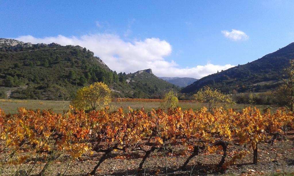 Au Paradis Cathare Fraisse-des-Corbieres Экстерьер фото